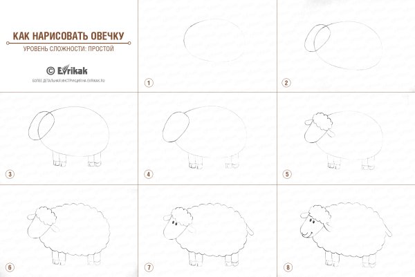 Поэтапное рисование барана