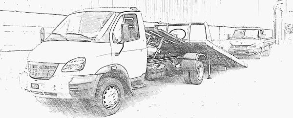 Раскраска Газель