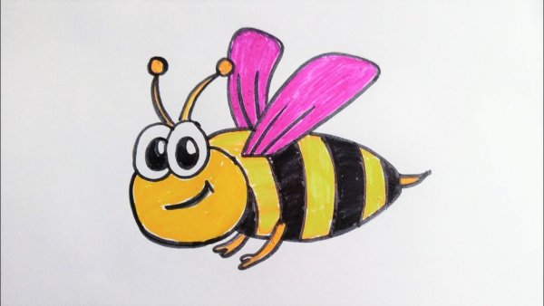 Шершень лёгкий рисунок