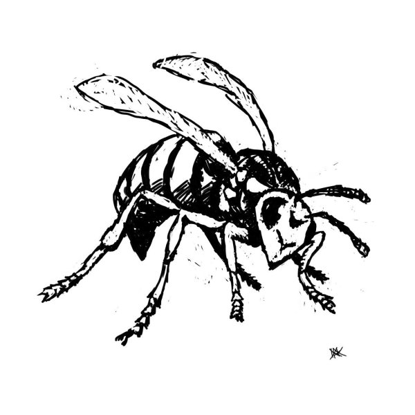 Оса карандашом