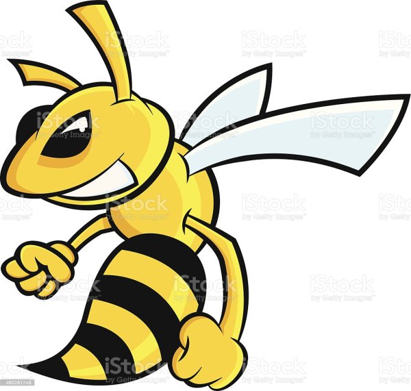 Поэтапное рисование пчелы карандашом