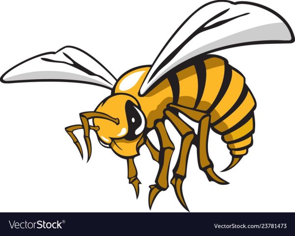 Оса для раскрашивания детям