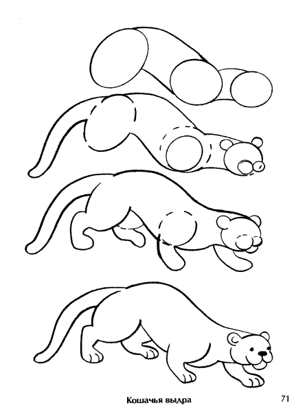Рисование по частям животных