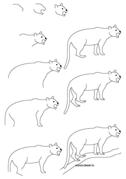 Поэтапное рисование пантеры