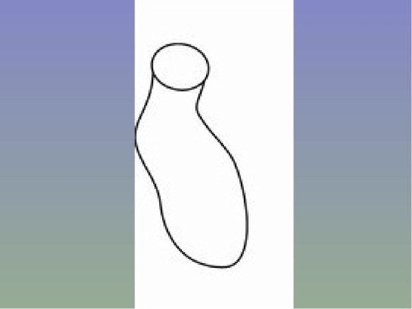 Поэтапное рисование Хаги ваги