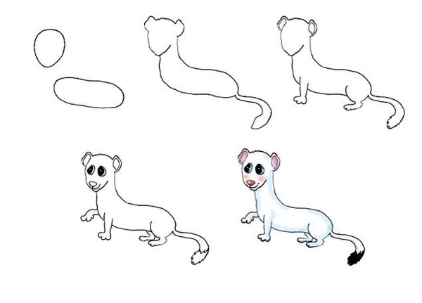 Горностай рисунок поэтапно