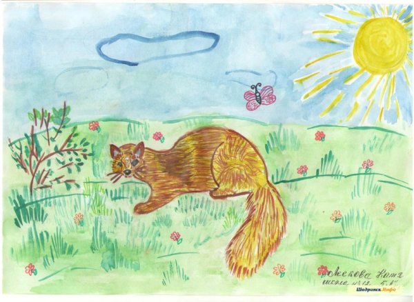 Детские рисунки куницы