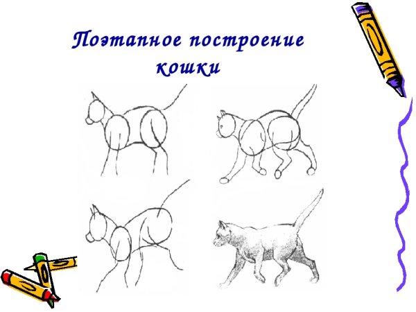 Презентация рисование животных