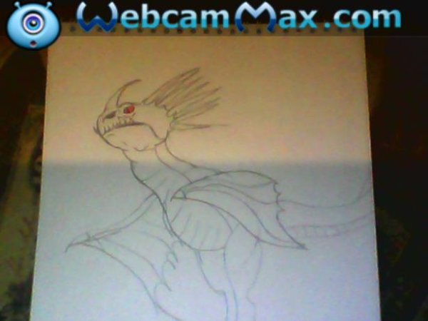 Острокрылый змеевик