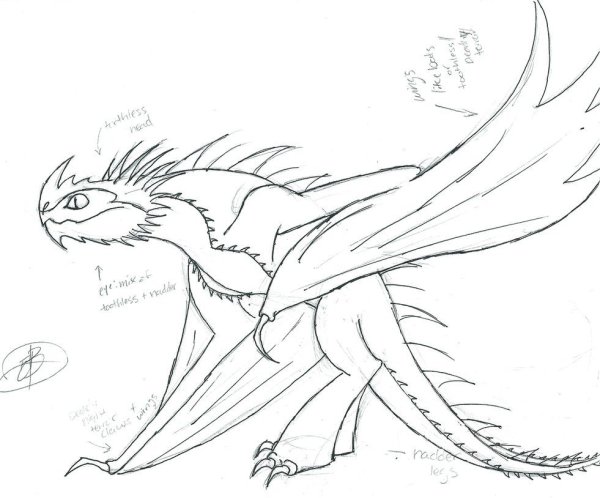 Мульт скетч дракон