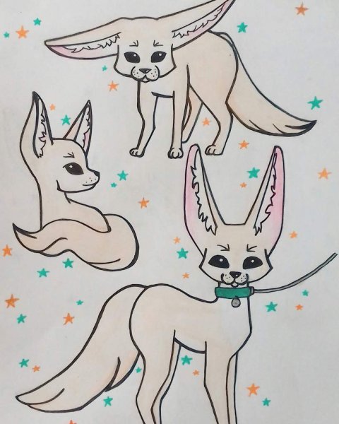 Лиса фенек раскраска