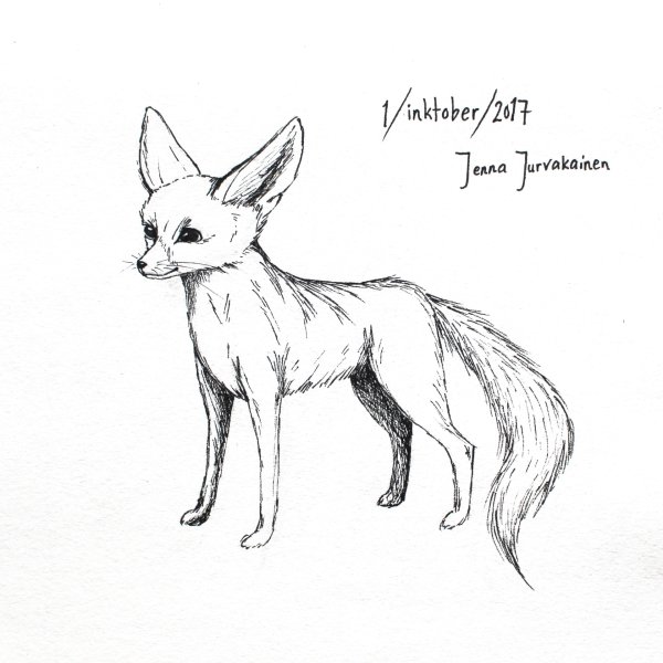 Рисунок фенека легко
