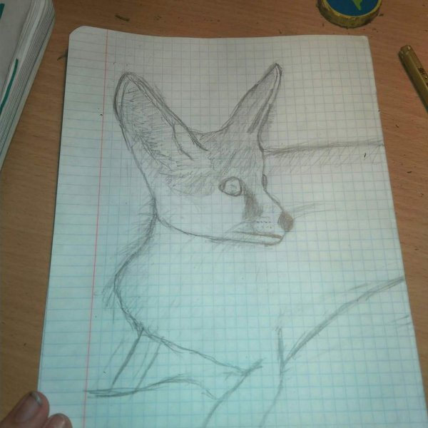 Нарисовать Фенька