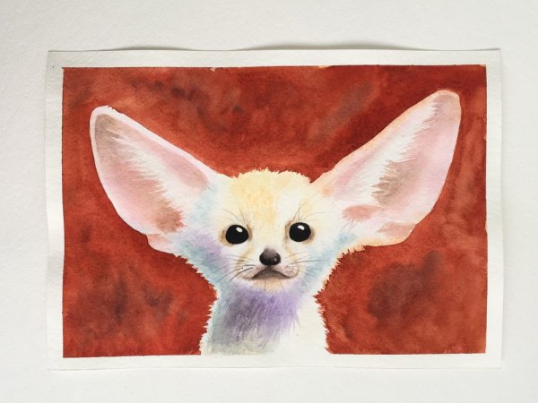 Фенек открытка художник