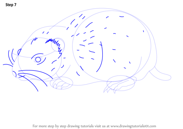 Легко нарисовать леменга