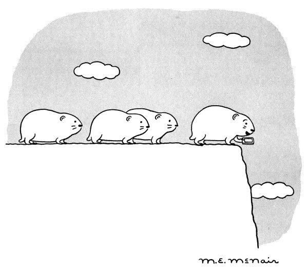 Лемминги падают с обрыва