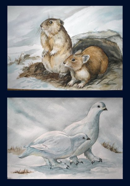 Лемминг рисунок