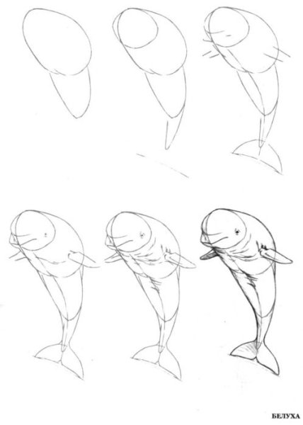 Поэтапное рисование для взрослых