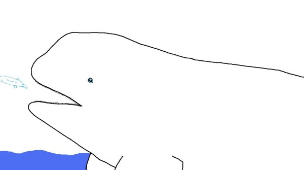 Белуха рисунок