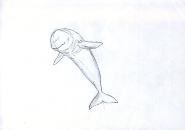 Белуха нарисовать карандашом