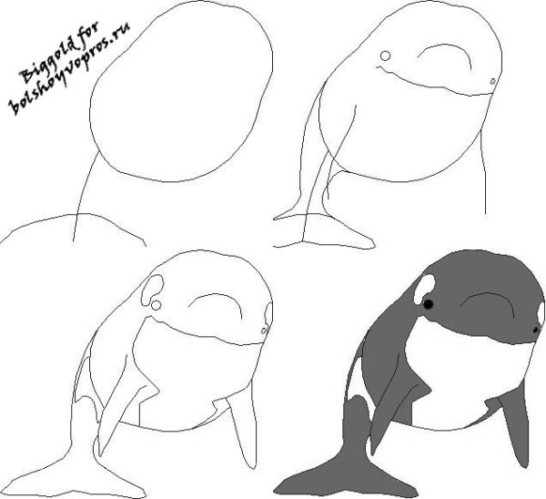 Как нарисовать кита поэтапно