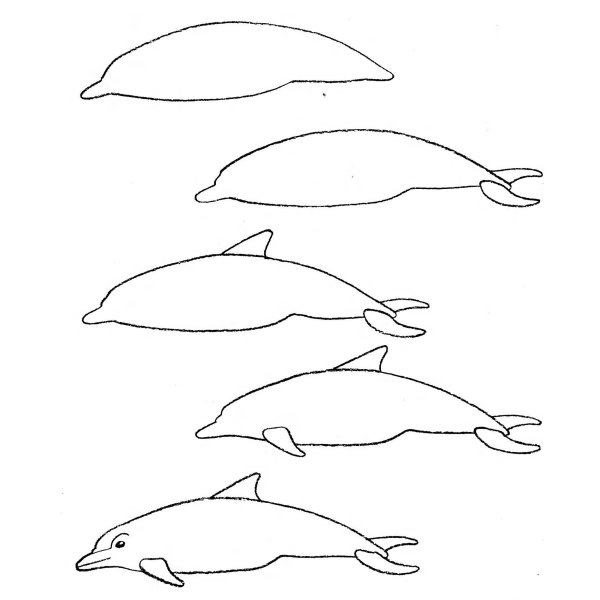 Рисование дельфина
