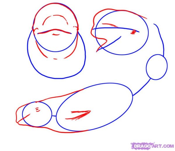 Поэтапное рисование Белуха для детей