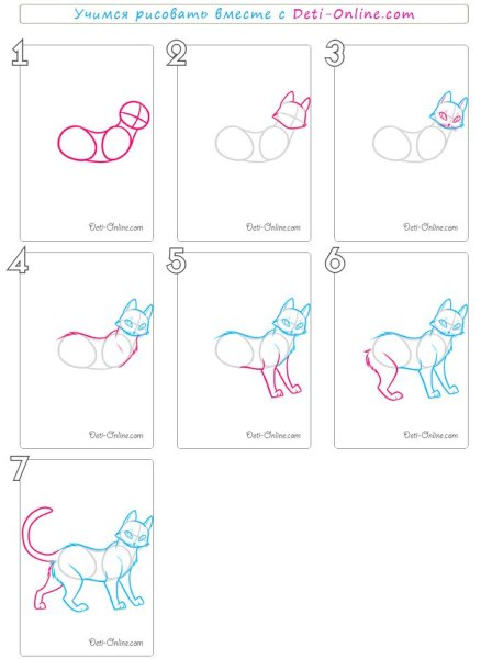 Рисовалка по этапам