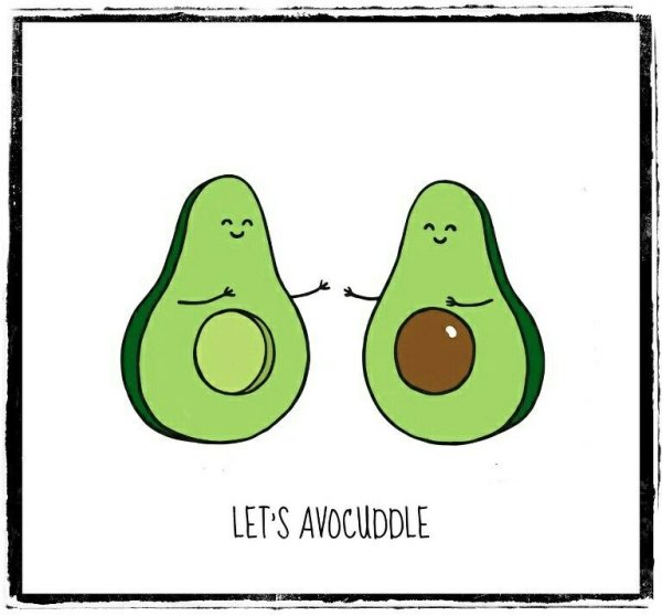 Авокадо эскиз