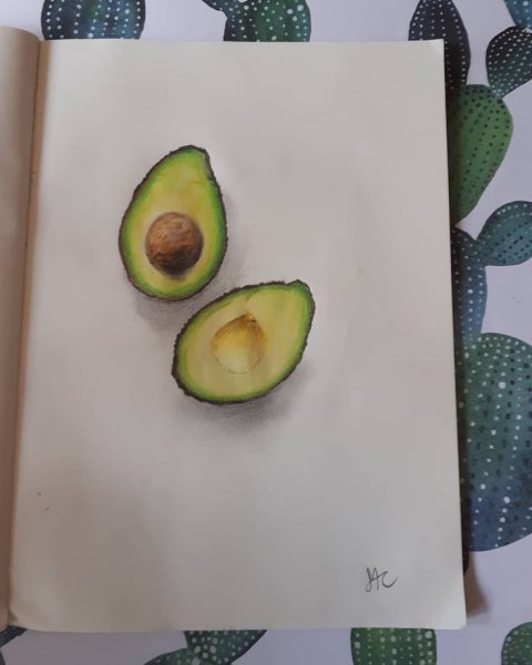 Авокадо для скейт бука