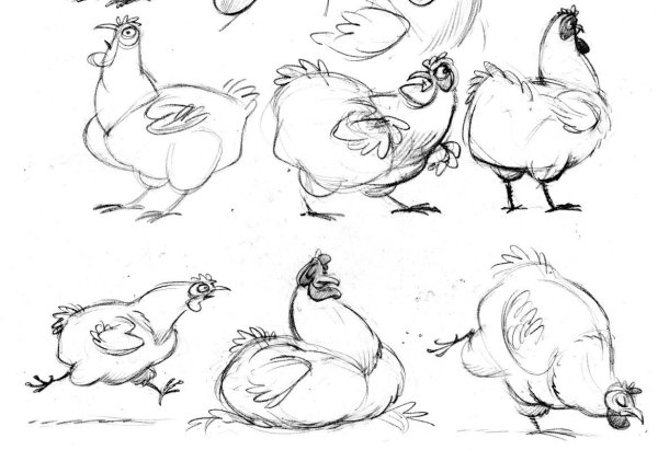 Зарисовки куриц