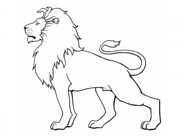 Рисунок Льва для раскрашивания