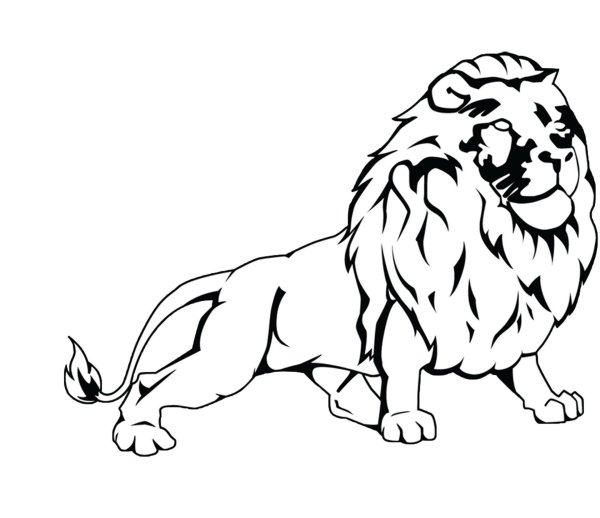 Лев рисунок