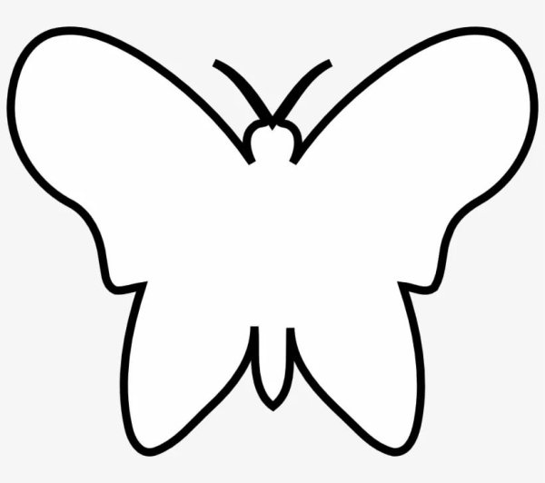 Контур бабочки для раскрашивания