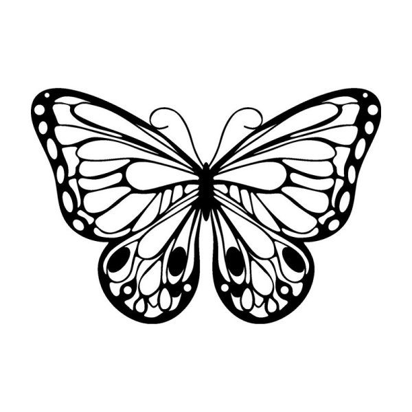 Трафареты бабочки