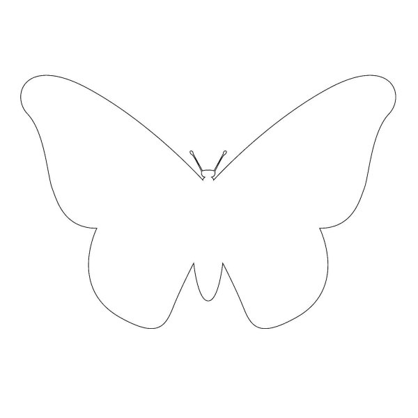 Маленькая бабочка черно белая