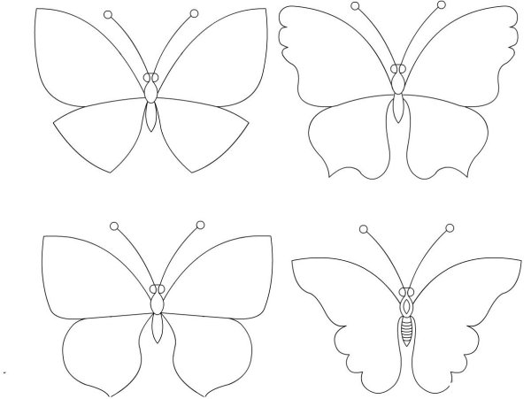 Контур бабочки для раскрашивания
