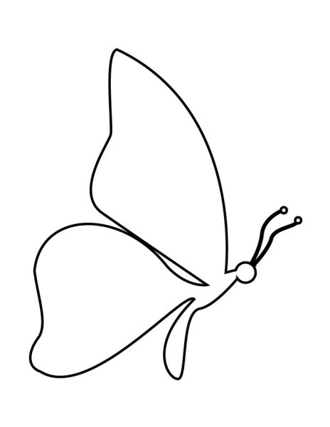 Бабочки трафарет для печати