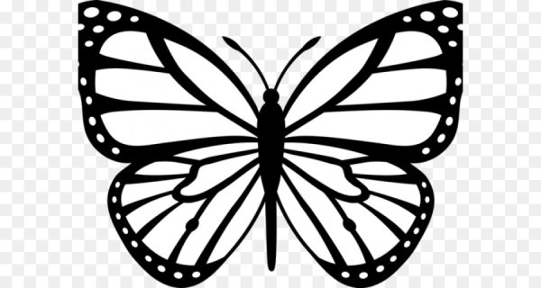 Контур бабочки для раскрашивания