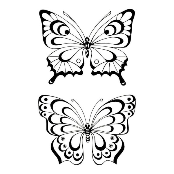Бабочка контур эскиз