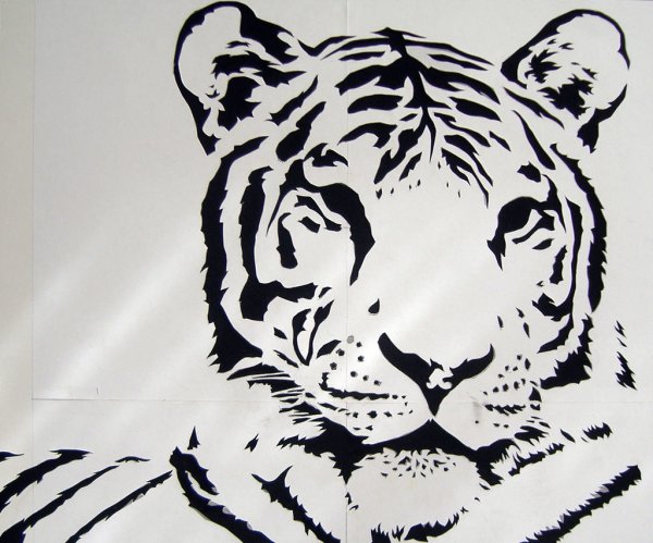 Тигр контурный