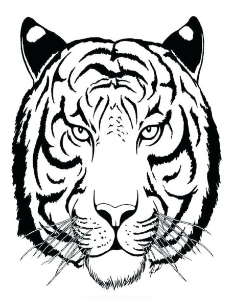 Морда тигра трафарет