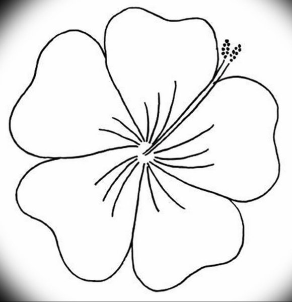 Контурные рисунки цветов для вырезания