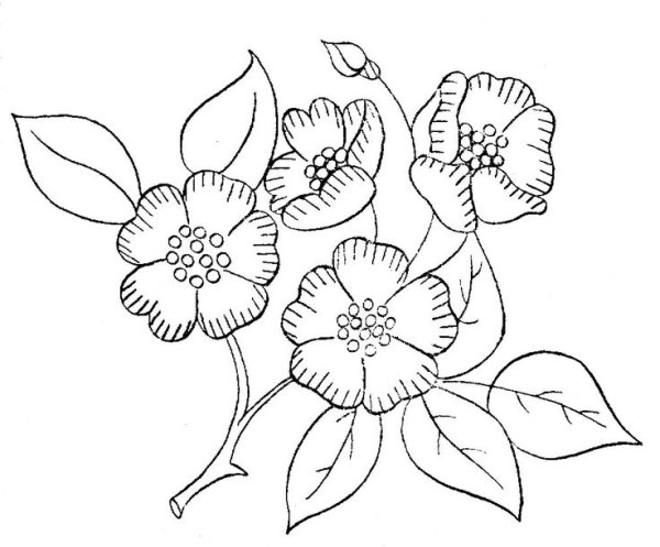 Контурные рисунки цветов для вышивки