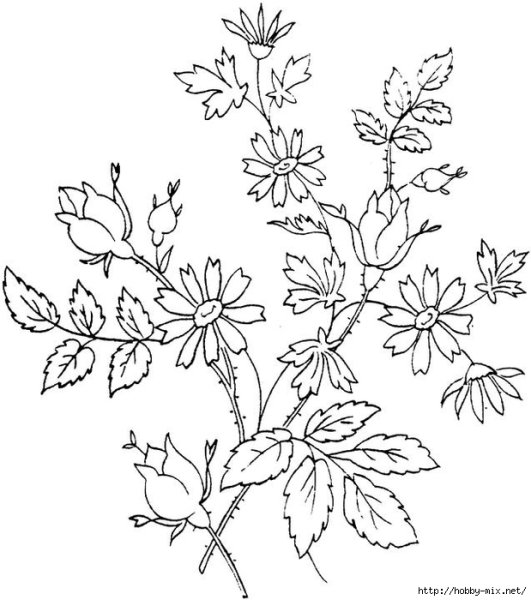 Цветы контур для вышивки