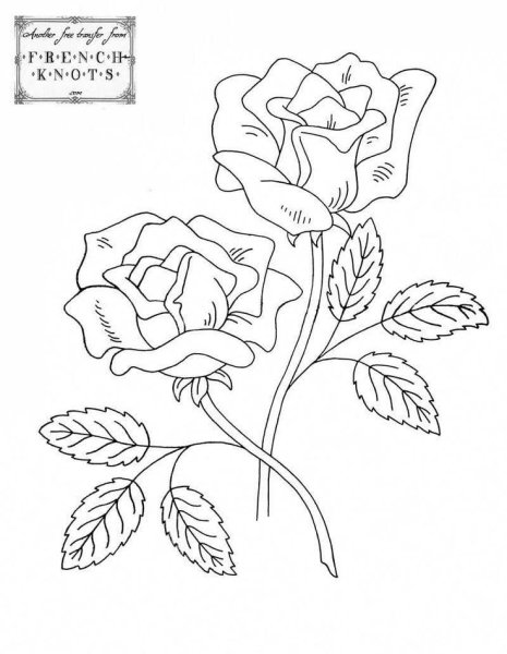 Контур цветов для вышивки гладью