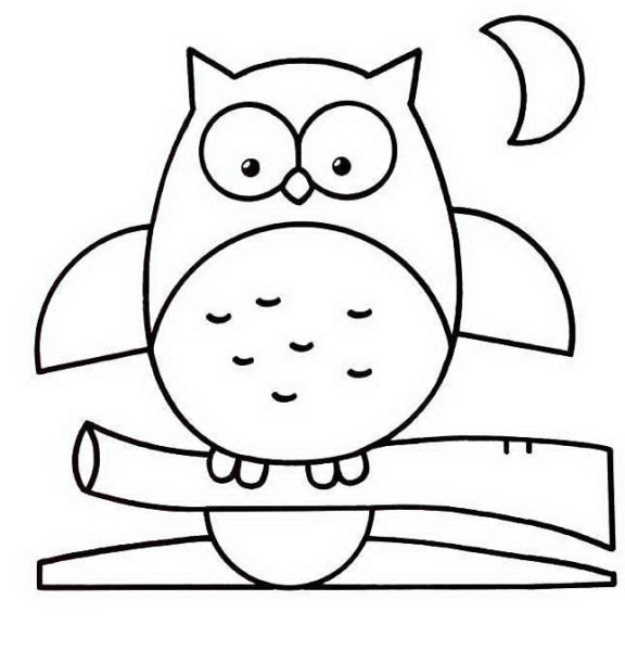 Сова раскраска для малышей