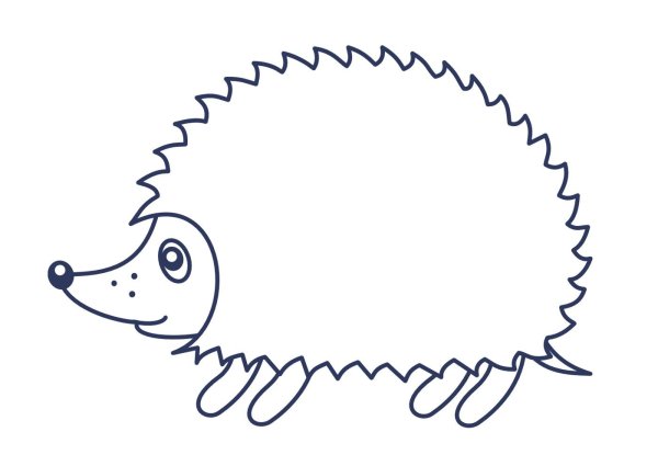 Ёжик раскраска для детей