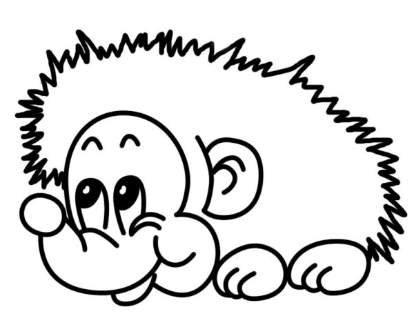 Раскраска Ёжик