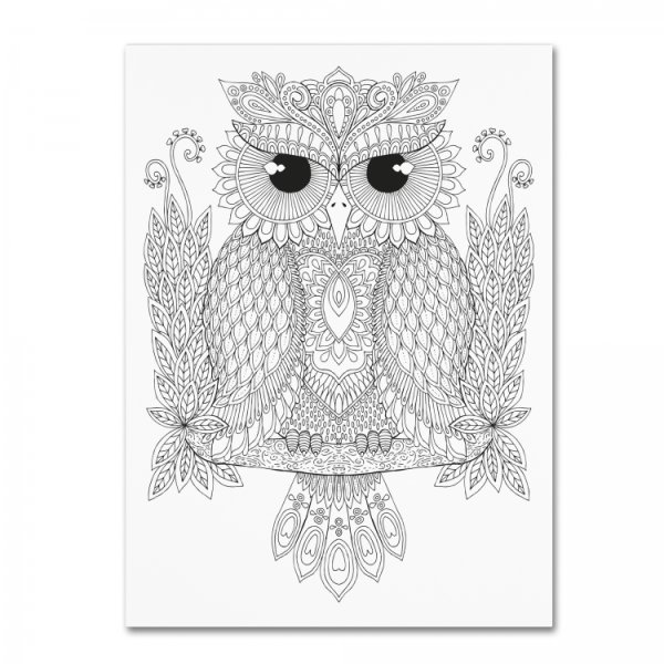 Сова контур